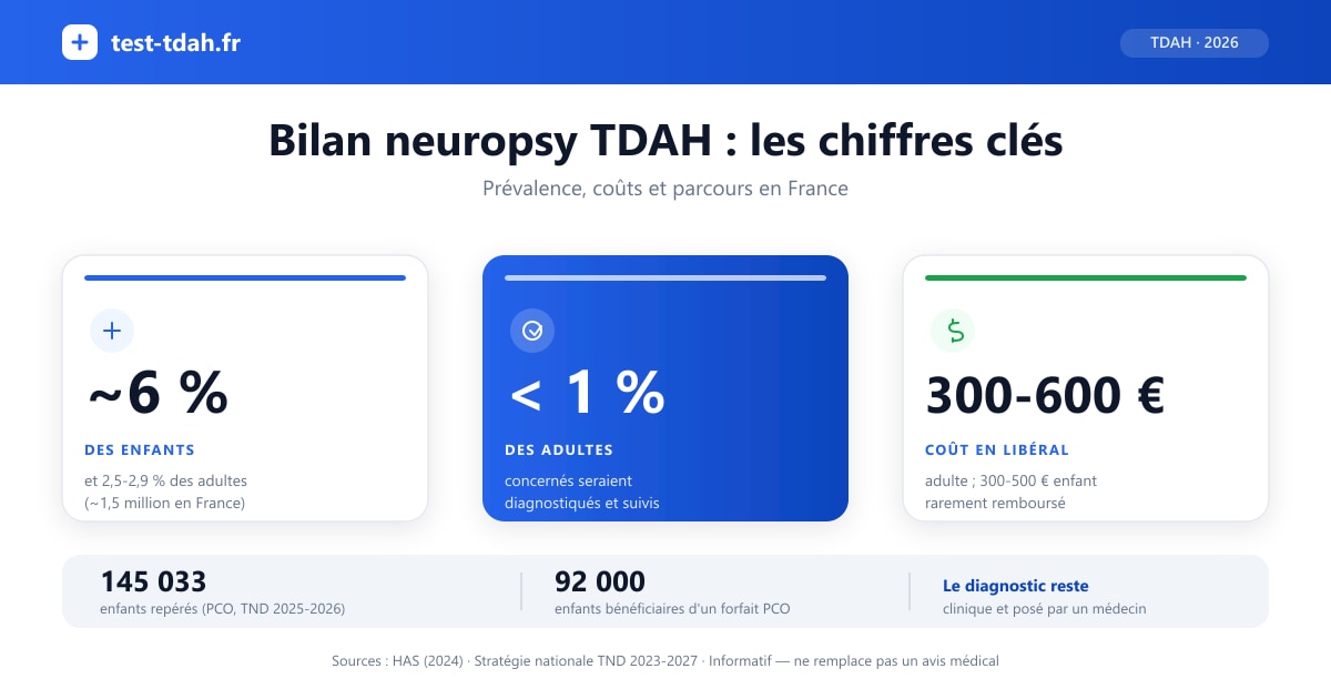 Infographie : bilan neuropsy TDAH — prévalence, coûts et parcours de diagnostic en France