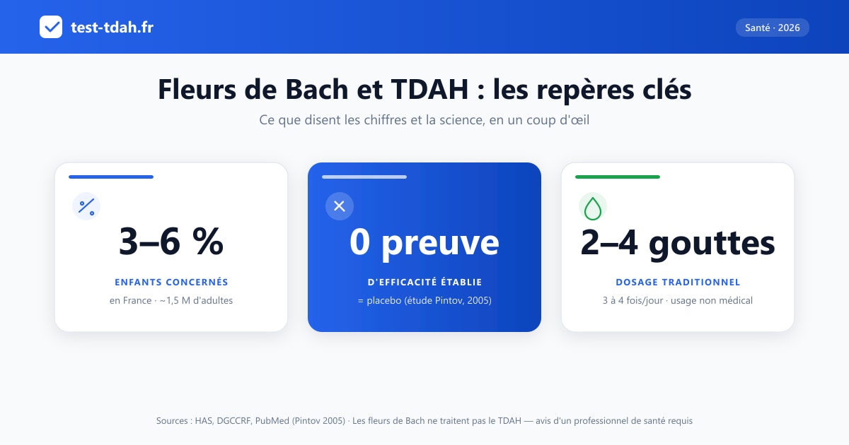 Infographie : fleurs de Bach et TDAH — 3 à 6 % des enfants concernés en France, aucune preuve d'efficacité au-delà du placebo (Pintov 2005), dosage traditionnel de 2 à 4 gouttes 3 à 4 fois par jour.