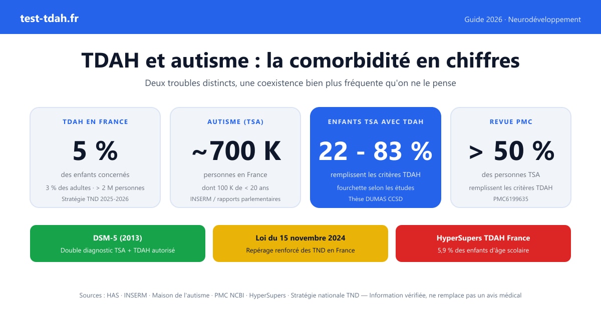 Infographie : TDAH, autisme (TSA) et AuDHD — différences, similitudes et comorbidité